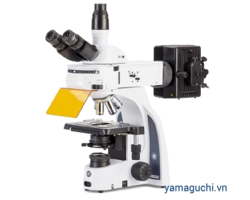 Fluorescence microscope iScope IS.3153‑PLi/6